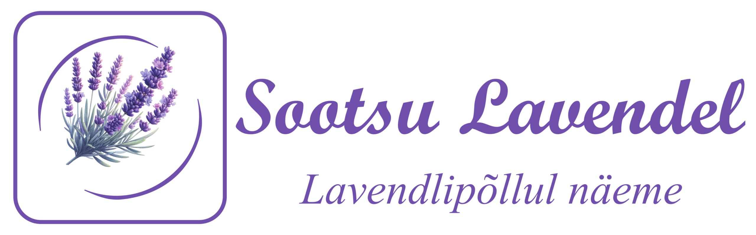 Sootsu Lavendel
